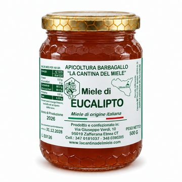 miele-eucalipto-500g